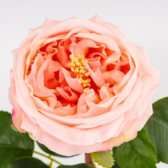 Искусственная пионовидная роза с эффектом живого прикосновения, пудровая, 53 см (2025-027) Искусственная пионовидная роза с эффектом живого прикосновения, пудровая, 53 см (2025-027)