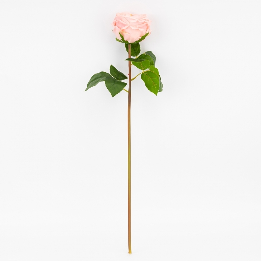 Искусственная пионовидная роза с эффектом живого прикосновения, пудровая, 53 см (2025-027) Искусственная пионовидная роза с эффектом живого прикосновения, пудровая, 53 см (2025-027)
