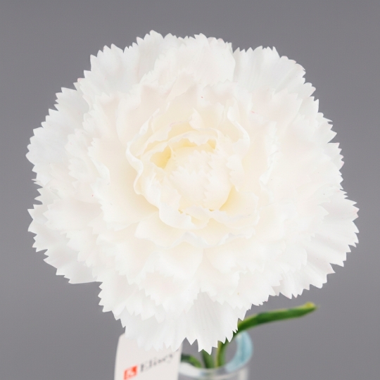 Искусственная гвоздика с эффектом живого прикосновения, белая, 49 см (2025-028) Искусственная гвоздика с эффектом живого прикосновения, белая, 49 см (2025-028)