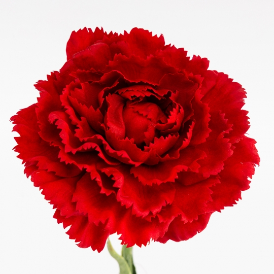Искусственная гвоздика с эффектом живого прикосновения, красная, 49 см (2025-029) Искусственная гвоздика с эффектом живого прикосновения, красная, 49 см (2025-029)