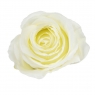 Головка троянди, біла, 8 см (8502-008/4)