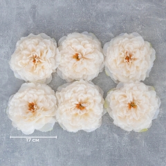 Головка півонії, кремова, 17 см (8502-010/1)