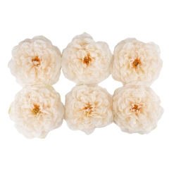 Головка півонії, кремова, 17 см (8502-010/1)