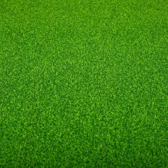 Штучна трава, 1 м. кв. (9272-002)