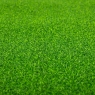Штучна трава, 1 м. кв. (9272-002)