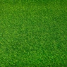 Искусственная трава, 1 м. кв. (9272-004)