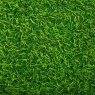 Искусственная трава, 1 м. кв. (9272-004)