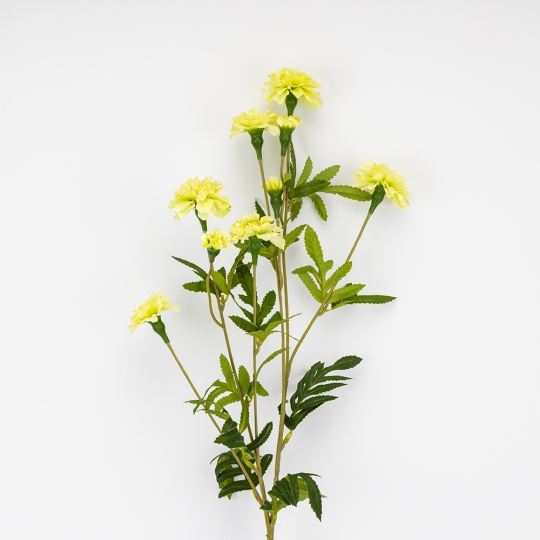 Штучні чорнобривці, світло-жовті, 84 см ВРЯТОВАНА ПОЗИЦІЯ (9259-037) Штучні чорнобривці, світло-жовті, 84 см ВРЯТОВАНА ПОЗИЦІЯ (9259-037)