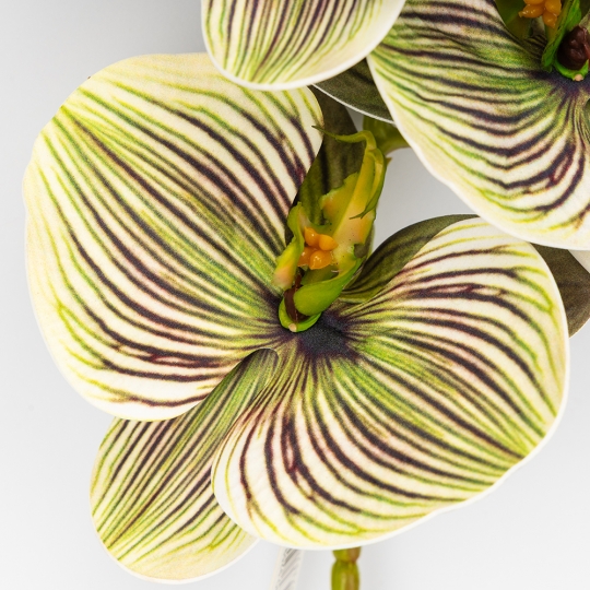 Латексна орхідея, зелено-кремова, 76 см ВРЯТОВАНА ПОЗИЦІЯ (9259-085)