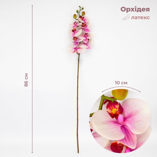 Латексна орхідея, біло-рожева, 86 см ВРЯТОВАНА ПОЗИЦІЯ (9259-103) Латексна орхідея, біло-рожева, 86 см ВРЯТОВАНА ПОЗИЦІЯ (9259-103)