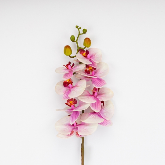 Латексна орхідея, біло-рожева, 86 см ВРЯТОВАНА ПОЗИЦІЯ (9259-103) Латексна орхідея, біло-рожева, 86 см ВРЯТОВАНА ПОЗИЦІЯ (9259-103)