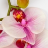 Латексна орхідея, біло-рожева, 86 см ВРЯТОВАНА ПОЗИЦІЯ (9259-103)