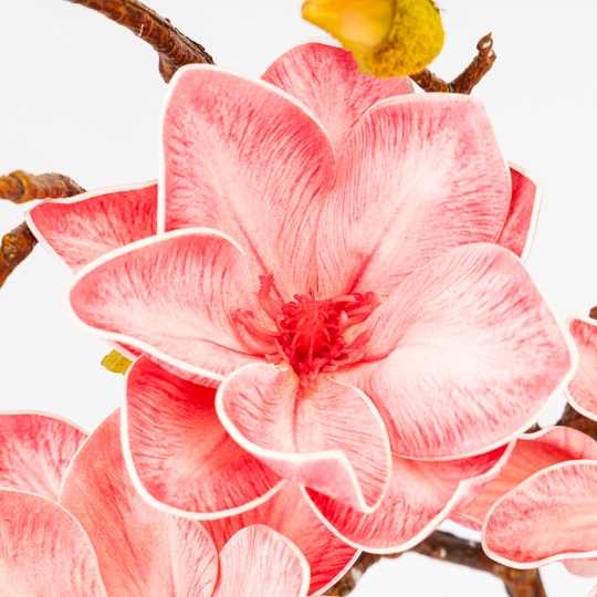 Латексна магнолія, ніжно-рожева, 75 см ВРЯТОВАНА ПОЗИЦІЯ (9259-109)