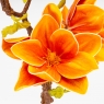 Латексна магнолія, помаранчева, 75 см ВРЯТОВАНА ПОЗИЦІЯ (9259-110)