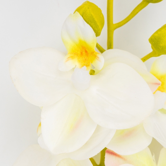 Латексна орхідея, біла, 72 см ВРЯТОВАНА ПОЗИЦІЯ (9259-138) Латексна орхідея, біла, 72 см ВРЯТОВАНА ПОЗИЦІЯ (9259-138)