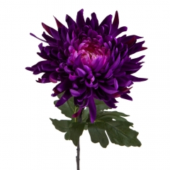 Хризантема "Лунная сирень", фиолетовая (2000-077PL)