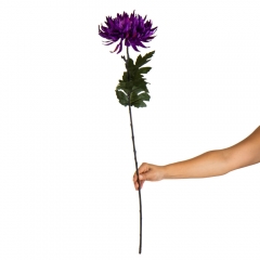 Хризантема "Лунная сирень", фиолетовая (2000-077PL)