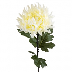 Хризантема "Серебряный шелк", белая (2000-078WT)