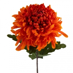 Хризантема "Золотой закат", оранжевая (2000-088OG)