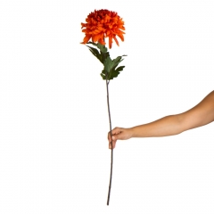 Хризантема "Золотой закат", оранжевая (2000-088OG)