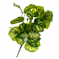 Гілка Філодендрона (8001-009)
