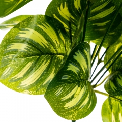 Гілка Філодендрона (8001-009)