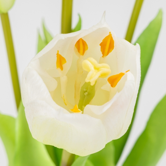 Букет латексних тюльпанів, 5 бутонів, біло-зелений, 38 см (2026-007/white)