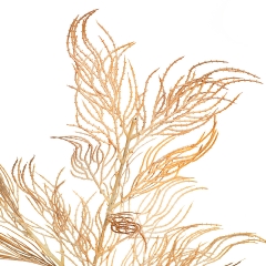 Гілка верби хвиляста, персикова (8408-039)