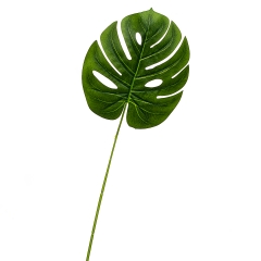 Листок монстери жовто-зелений штучний (8408-046)