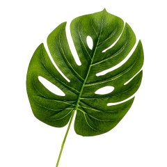 Листок монстери жовто-зелений штучний (8408-046)