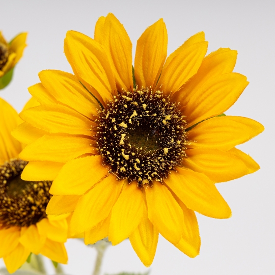 Искусственный подсолнух с 3 бутонами, желтый, 64 см СПАСЕННАЯ ПОЗИЦИЯ (9259-031) Искусственный подсолнух с 3 бутонами, желтый, 64 см СПАСЕННАЯ ПОЗИЦИЯ (9259-031)