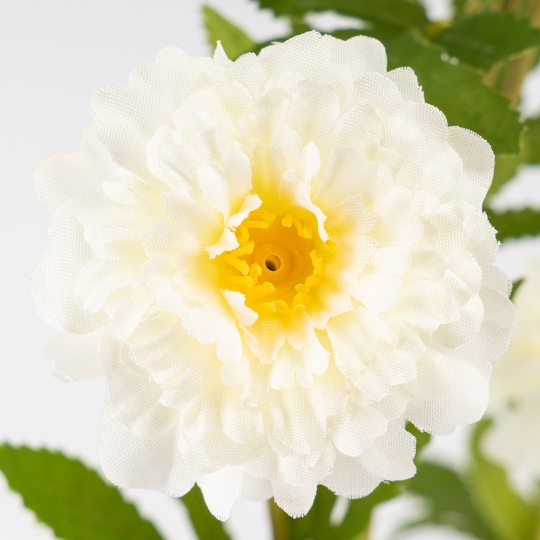 Искусственные бархатцы, белые, 84 см СПАСЕННАЯ ПОЗИЦИЯ (9259-038) Искусственные бархатцы, белые, 84 см СПАСЕННАЯ ПОЗИЦИЯ (9259-038)