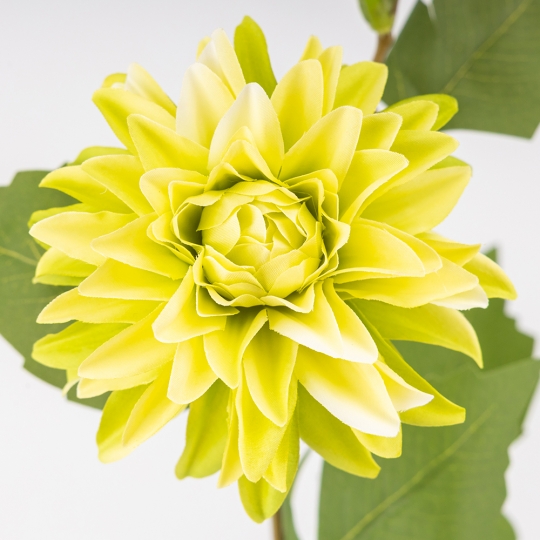 Искусственная георгина с 2 бутонами, зеленая, 66 см СПАСЕННАЯ ПОЗИЦИЯ (9259-050) Искусственная георгина с 2 бутонами, зеленая, 66 см СПАСЕННАЯ ПОЗИЦИЯ (9259-050)