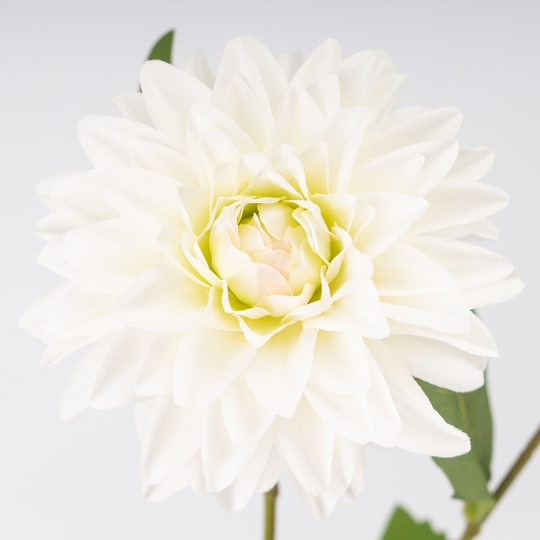 Искусственная георгина с 2 бутонами, белая, 66 см СПАСЕННАЯ ПОЗИЦИЯ (9259-051)