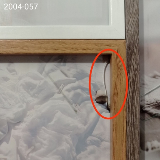 Фотоколлаж Фотоколлаж