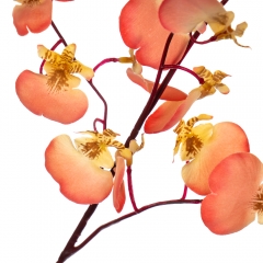 Букет "Тропічні квіти", кораловий (8114-027)