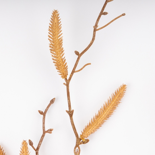 Штучна гілка 