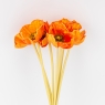 Букет маків, 7 бутонів, помаранчевий, 35 см ВРЯТОВАНА ПОЗИЦІЯ (9259-078)