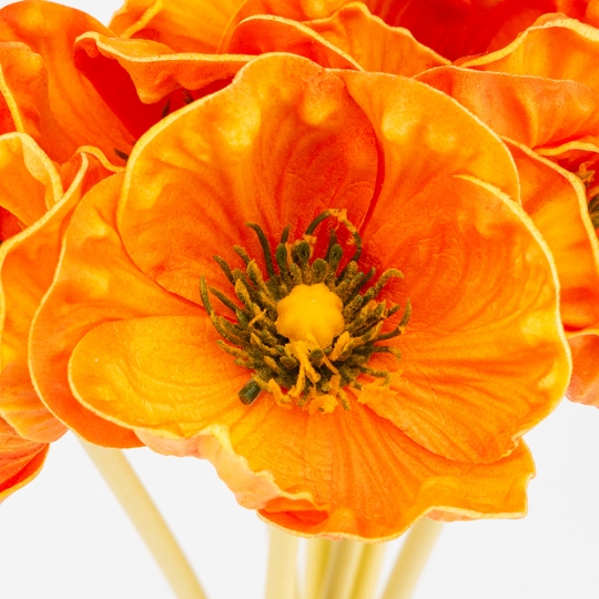 Букет маків, 7 бутонів, помаранчевий, 35 см ВРЯТОВАНА ПОЗИЦІЯ (9259-078) Букет маків, 7 бутонів, помаранчевий, 35 см ВРЯТОВАНА ПОЗИЦІЯ (9259-078)