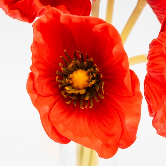 Букет маков, 7 бутонов, красный, 35 см СПАСЕННАЯ ПОЗИЦИЯ (9259-082) Букет маков, 7 бутонов, красный, 35 см СПАСЕННАЯ ПОЗИЦИЯ (9259-082)