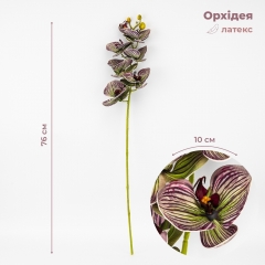 Латексная орхидея, зелено-бордовая, 76 см СПАСЕННАЯ ПОЗИЦИЯ (9259-084)
