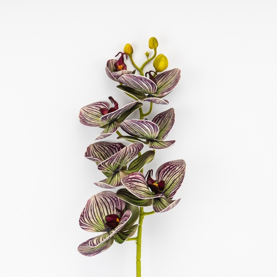 Латексная орхидея, зелено-бордовая, 76 см СПАСЕННАЯ ПОЗИЦИЯ (9259-084) Латексная орхидея, зелено-бордовая, 76 см СПАСЕННАЯ ПОЗИЦИЯ (9259-084)