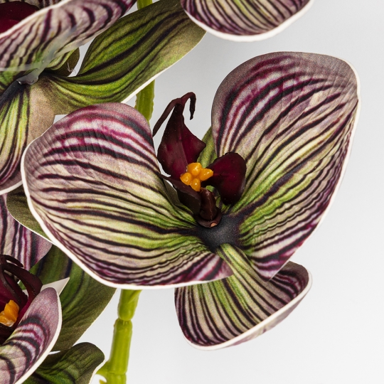 Латексная орхидея, зелено-бордовая, 76 см СПАСЕННАЯ ПОЗИЦИЯ (9259-084) Латексная орхидея, зелено-бордовая, 76 см СПАСЕННАЯ ПОЗИЦИЯ (9259-084)