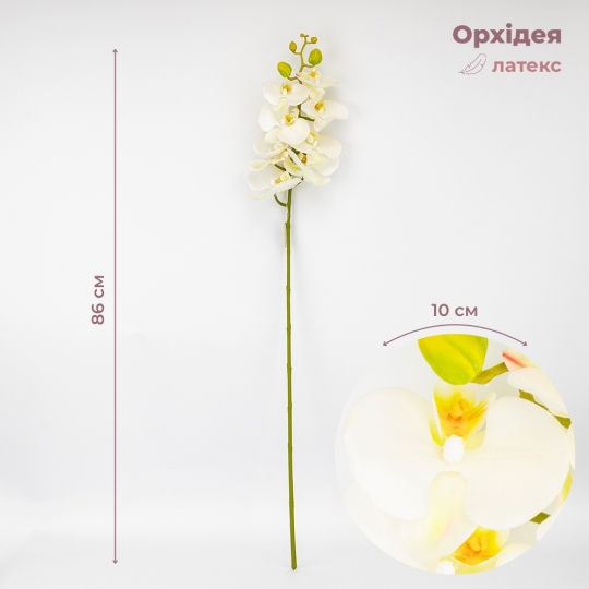 Латексная орхидея, кремовая, 86 см СПАСЕННАЯ ПОЗИЦИЯ (9259-105) Латексная орхидея, кремовая, 86 см СПАСЕННАЯ ПОЗИЦИЯ (9259-105)