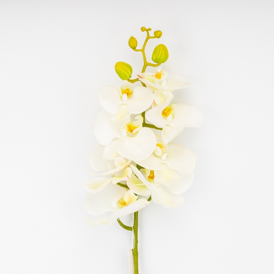Латексная орхидея, кремовая, 86 см СПАСЕННАЯ ПОЗИЦИЯ (9259-105) Латексная орхидея, кремовая, 86 см СПАСЕННАЯ ПОЗИЦИЯ (9259-105)