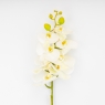 Латексная орхидея, кремовая, 86 см СПАСЕННАЯ ПОЗИЦИЯ (9259-105)