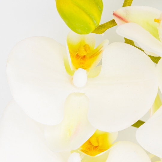 Латексная орхидея, кремовая, 86 см СПАСЕННАЯ ПОЗИЦИЯ (9259-105) Латексная орхидея, кремовая, 86 см СПАСЕННАЯ ПОЗИЦИЯ (9259-105)