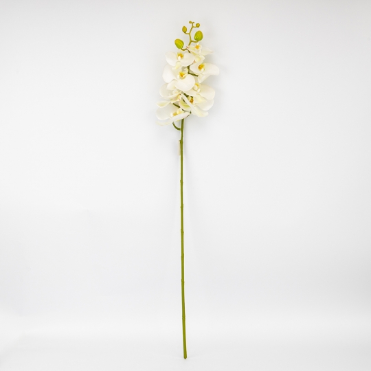 Латексная орхидея, кремовая, 86 см СПАСЕННАЯ ПОЗИЦИЯ (9259-105) Латексная орхидея, кремовая, 86 см СПАСЕННАЯ ПОЗИЦИЯ (9259-105)