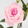 Латексная роза с 6 бутонами, розовая, 60 см СПАСЕННАЯ ПОЗИЦИЯ (9259-107)