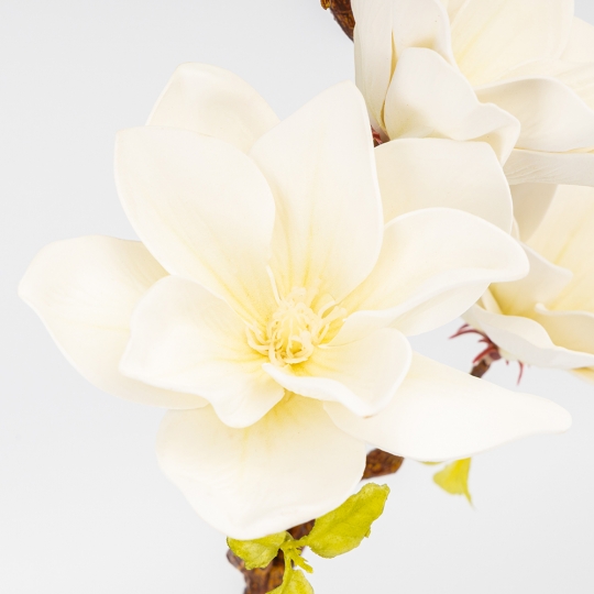 Латексная магнолия, кремовая, 75 см СПАСЕННАЯ ПОЗИЦИЯ (9259-111)